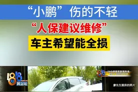 去年十月份，廖先生开着一辆小鹏G3在湖州长兴出了事故，车子损伤严重，驾驶室一侧深深凹了进去。廖先生说，车子在嘉兴一家修理店停了四个多月，之所以停这么久，是因为在理赔上跟人保财险有争议。保险公司建议廖先生先将车拖到4S店定损维修，廖先生建议走全损。#1818黄金眼 #保险 #理赔视频封面