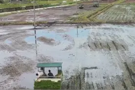 “海水稻”是#耐盐碱水稻的形象化称呼，在海边滩涂等盐碱地生长的特殊水稻，由“中国杂交水稻之父”#袁隆平的团队研究成功。目前，海陵试验区将采取补贴的形式，利用撂荒的盐碱地推广种植“海水稻”，增加粮食产量，确保粮食安全，让农民增收。视频封面