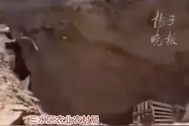 拦截的900只猫被活埋？农业农村局：网传消息不实，按防疫规定处置视频封面