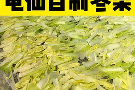 原来冬菜是用这种菜做的，存放越久味道越香
#冬菜#下饭菜#美食#干净饮食#龟仙屋视频封面