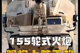 曾经陆炮上舰属实无奈，现在舰炮登陆实属无赖 #火炮 #1130近防炮视频封面