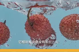 荔枝吃之前用盐水泡一泡→#三农小知识 #丰收中国 #乡聚向未来#科普  视频封面