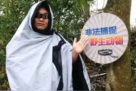 善待自然，就是善待我们自己！打击盗猎，人人有责。3月20日至26日，是海南省爱鸟周。保护鸟类，从来不仅仅是一句口号，而是关乎现实的一道选择题。（视频来源：海口畓榃湿地研究所）@抖音短视频视频封面