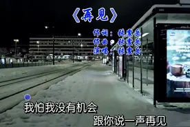 张震岳《再见》 总有那么一个人，陪了你一程，却陪不了你一生视频封面