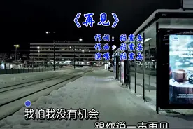 张震岳《再见》 总有那么一个人，陪了你一程，却陪不了你一生视频封面