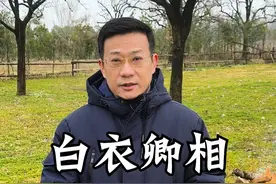 白衣卿相-柳永，柳三变。文案参考《跨山海》 #柳永 #柳三变 #白衣卿相 #抖音精选视频封面
