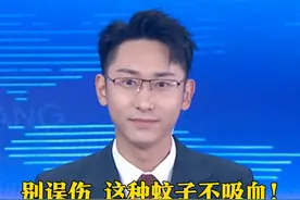 别误伤，这种#蚊子 不吸血！7月30日，中山大学师生团队释放华丽巨蚊幼虫。经研究发现，华丽巨蚊是伊蚊的天敌，其幼虫一生至少可以吃掉80到100条伊蚊幼虫。且华丽巨蚊的雌雄成蚊均不吸血，对人畜不构成侵扰。