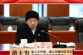 黄大发代表：整治撂荒地，让农民饭碗端得稳、腰包鼓起来 视频封面