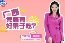 广西凭啥有好果子吃？视频封面