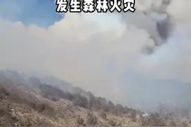 四川省阿坝州壤塘县岗木达镇发生森林火灾，四川省森林消防总队紧急驰援。#四川森林消防 #山火视频封面