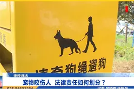 宠物咬伤人  法律责任如何划分？ #宠物 #咬人 #责任视频封面
