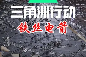 露娜电箭配深蓝的铁丝网这招也太绝了吧 #三角洲行动