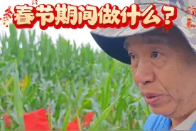 海南省的南繁基地被誉为我国的“种业硅谷”。春节期间，仍有一批科研工作者坚守岗位，为加快育种速度，提升粮食产量默默作出贡献。时间见证奋斗者永不停歇的脚步，祝愿他们春节快乐！视频封面