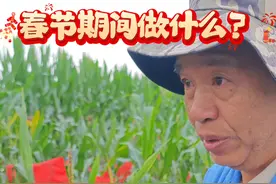 海南省的南繁基地被誉为我国的“种业硅谷”。春节期间，仍有一批科研工作者坚守岗位，为加快育种速度，提升粮食产量默默作出贡献。时间见证奋斗者永不停歇的脚步，祝愿他们春节快乐！视频封面