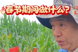 海南省的南繁基地被誉为我国的“种业硅谷”。春节期间，仍有一批科研工作者坚守岗位，为加快育种速度，提升粮食产量默默作出贡献。时间见证奋斗者永不停歇的脚步，祝愿他们春节快乐！视频封面
