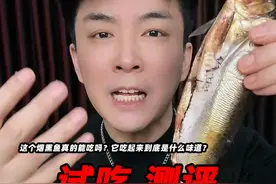 这个黑龙江熏鱼你们有吃过吗？它的味道到底怎么样？ #冷熏鲱鱼 #测评 #试吃 #星仔实测 #美食测评视频封面