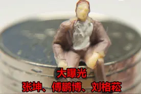 大曝光！#张坤、傅鹏博、#刘格菘#顶流基金经理隐形重仓股来了#苏泊尔 #天融信 #巨星科技 #杭叉集团视频封面