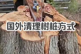 国外人清理树桩的方式 #树桩#清理树桩#冷知识视频封面