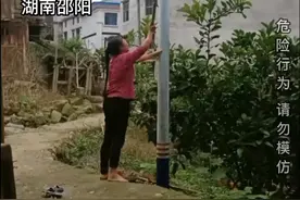 7岁男孩不肯写作业怕奶奶打，爬上电线杆，奶奶看了一脸无奈视频封面