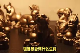 貔貅最忌讳什么生肖？ #传统文化 #知识 #老六师傅视频封面