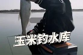 这里不仅花美，也是个钓鱼的好去处！ #油菜花 #爱生活爱钓鱼视频封面