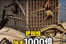 如果把蜘蛛放大1000倍会有多吓人 #神奇动物 #视觉冲击 #蜘蛛视频封面