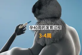 从胚胎到婴儿的发育过程究竟有多神奇#胎儿 #胎儿发育 #孕期视频封面