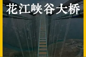 只需30秒，你竟然建造了花江峡谷大桥 #致敬建设者 #涨知识 #科普 #悬索桥 #基建狂魔视频封面