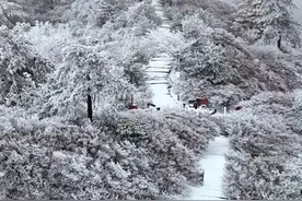 2025年1月25日，湖北麻城龟峰山景区迎来今冬第一场雪，形成奇特美丽的雾淞景区，景区银装素裹，梢杈枝头上闪烁晶莹，剔透彻亮，簇簇松针恰似银菊怒放，洁白又晶莹，素雅又宁静，如同步入一个童话世界~（视频来源：@小杨航拍 ）#喜欢下雪的感觉 #雪一落这里就美成了诗 #你的城市下雪了吗 #冬季赏雪好去处视频封面