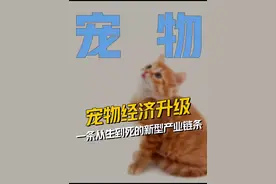 小小的宠物，千亿的市场 #宠物 #宠物经济 #财经 #掘金计划2024 #汇添富视频封面