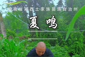 土豆洋芋马铃薯，你们那是怎么个叫法？ #新农人计划2025  #农村美食 #抖音小助手 #农村美食记录生活 #原生态美食