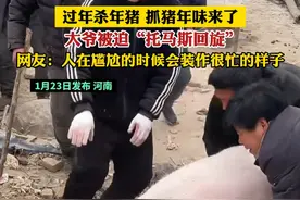 过年杀年猪 抓猪年味来了 大爷被迫“托马斯回旋”网友:人在尴尬的时候会装作很忙的样子视频封面