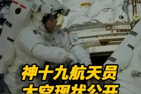 神十九航天员太空现状公开！才上去半个月，身体出现明显变化 #宇航员  #神州  #航天  #科技视频封面