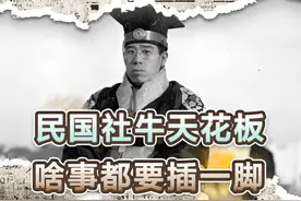 历史最后一个纵横家，从拥护袁世凯到成为地下党，一生半部民国史视频封面