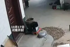 孩子回家喊爷爷无人应答，直接喊起爷爷的小名#监控下的一幕 （来源@打不死的小趴菜 ）05视频封面