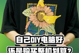 是选择DIY电脑还是买品牌整机？哪种更加划算？ #diy电脑视频封面