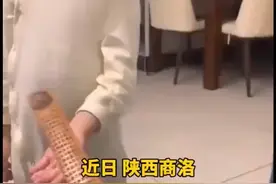 熊孩子在11楼高空抛物，爸爸妈妈这样教育#熊孩子 视频封面