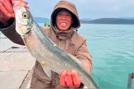 看这小浪底的米翘 @野钓兄弟团（小浪底） #钓鱼的乐趣只有钓鱼人懂 #钓鱼人就是这么疯狂 #钓鱼才是抖音运动顶流视频封面