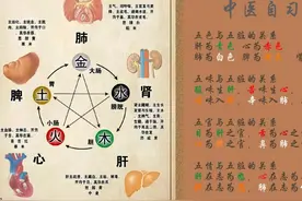 中医五行 五官 五色 五情 五脏关系图 #中医 #中医自学 #养生健康视频封面