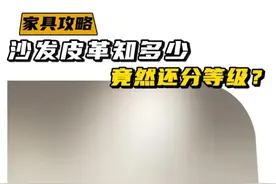 沙发皮革知多少？竞然还分等级！ #真皮沙发 #源头工厂 #简约大气 #家具买手视频封面