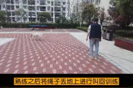 狗狗撒手没叫不回怎么办？一分钟教会你如何纠正训练，还不快去试试#训犬 #训犬教程 #拉布拉多 视频封面