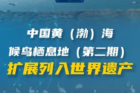#新华社消息  ｜中国黄（渤）海候鸟栖息地（第二期）扩展列入世界遗产视频封面