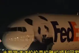 旅美大熊猫洋洋伦伦打工25年终于回家了，真是太不容易了~视频封面
