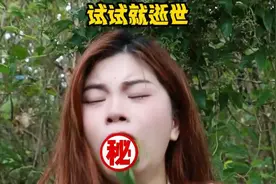 【鸡屎藤】谁说像臭豆腐的？ #鸡屎藤 #鸡屎藤粑仔 #植物科普 #大自然的馈赠 #小亿尝百草视频封面