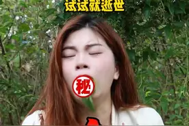 【鸡屎藤】谁说像臭豆腐的？ #鸡屎藤 #鸡屎藤粑仔 #植物科普 #大自然的馈赠 #小亿尝百草视频封面