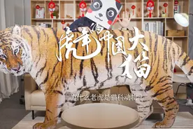 为什么老虎叫猫科动物？怎么不叫别的呢? #萌知计划