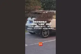 密集恐惧症慎点！大量蜜蜂“认错家”爬满车 目击者：盘旋后集中在一辆车上 消防队：车内无甜食 该现象应属偶然