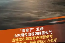 2月6日晚至7日白天，烟台市区再次出现强降雪天气，烟台市气象台于2月7日6时25分发布暴雪黄色预警信号：预计7日白天到夜间，芝罘区、莱山区、高新区、昆嵛山保护区全部镇街有中雪转小雪，请注意防雪防滑。#下雪 #烟台 #雪窝子 #抖音dou热门 @抖音短视频视频封面