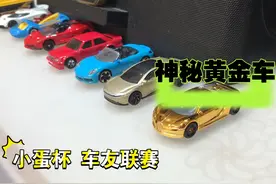 小蛋杯车友联赛风火轮小车比赛，神秘黄金车掀翻全场？【2】视频封面