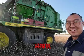 带你体验八百万的采棉机采收棉花，收获季满地棉花蛋真是太壮观了视频封面